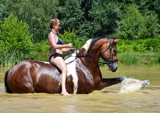 Centre équestre La Cavalcade